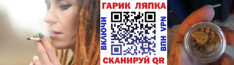 ГАШ Premium  Грязовец 