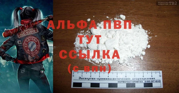 стафф Каменногорск
