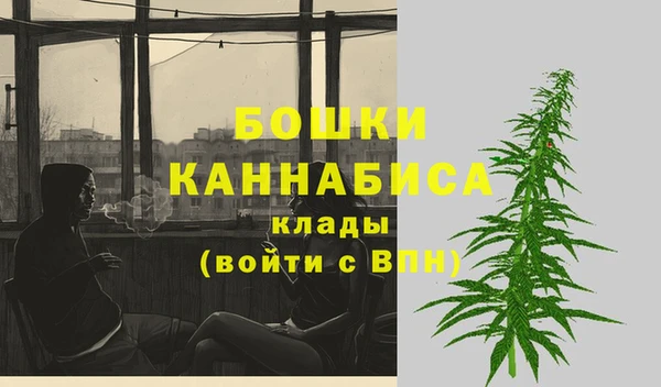 СК Каменск-Шахтинский