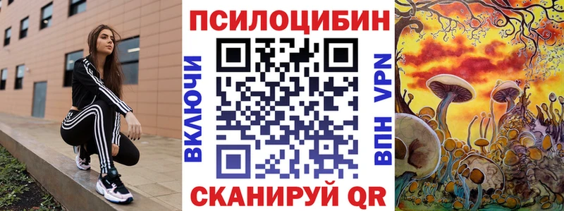 Псилоцибиновые грибы мицелий купить закладку omg ссылки Грязовец
